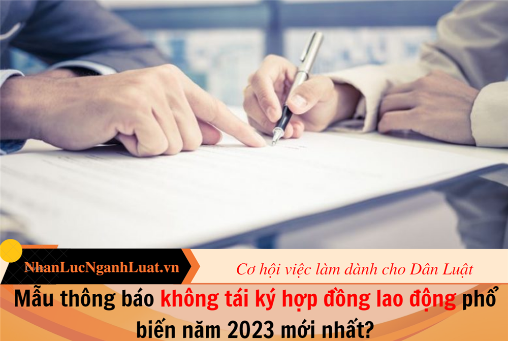 Mẫu thông báo không tái ký hợp đồng lao động phổ biến năm 2023 mới nhất?