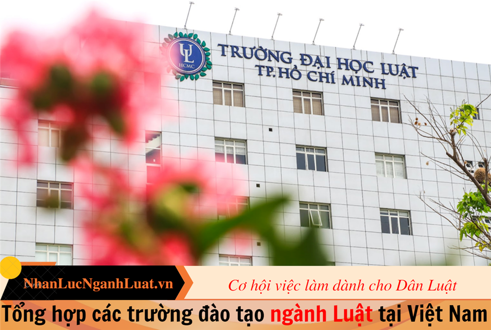 Tổng hợp các trường đào tạo ngành Luật tại Việt Nam 