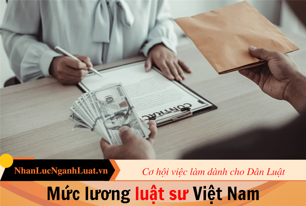 Mức lương luật sư Việt Nam