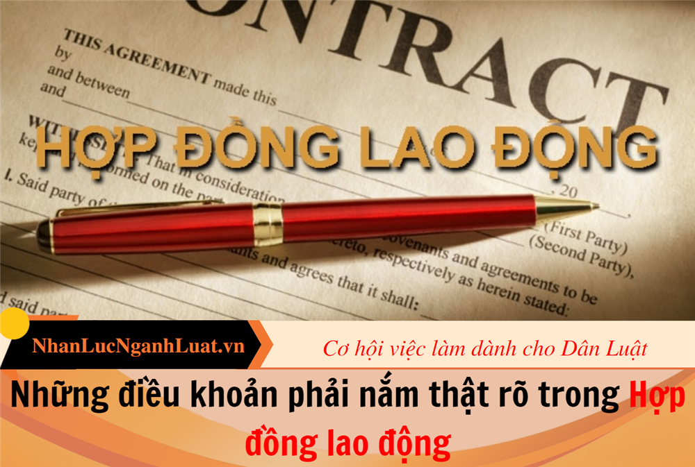 Những điều khoản phải nắm thật rõ trong Hợp đồng lao động