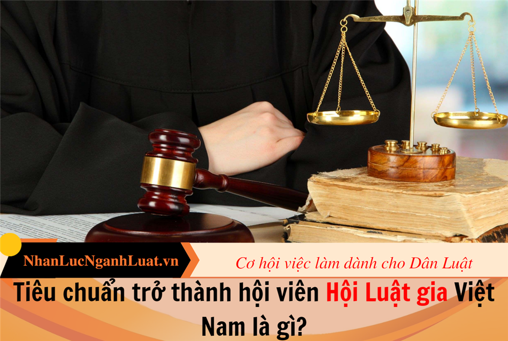 Tiêu chuẩn trở thành hội viên Hội Luật gia Việt Nam là gì?