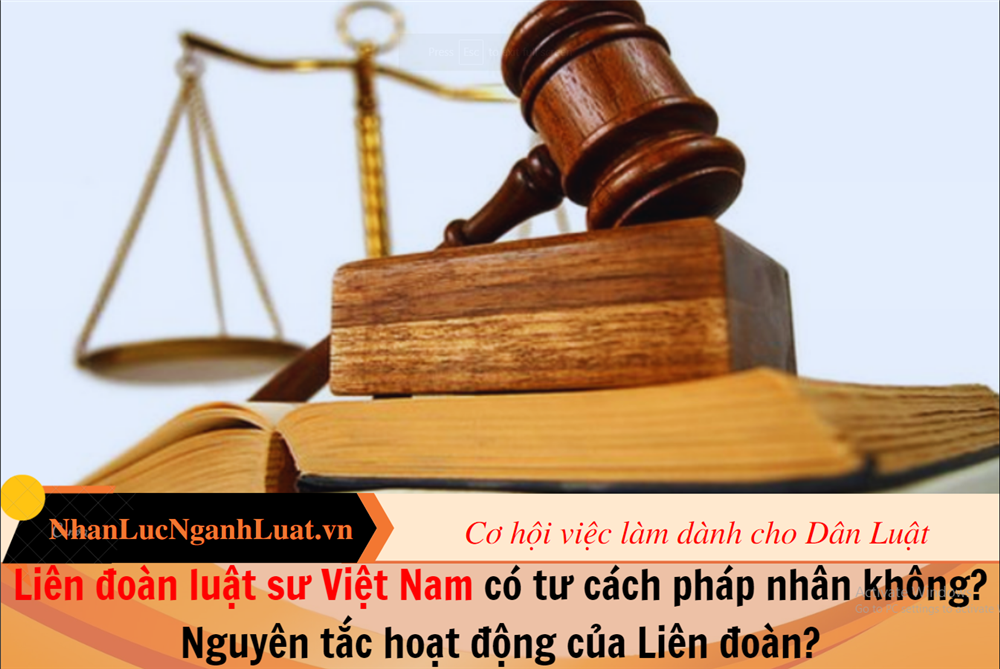 Liên đoàn luật sư Việt Nam có tư cách pháp nhân không? Nguyên tắc hoạt động của Liên đoàn?