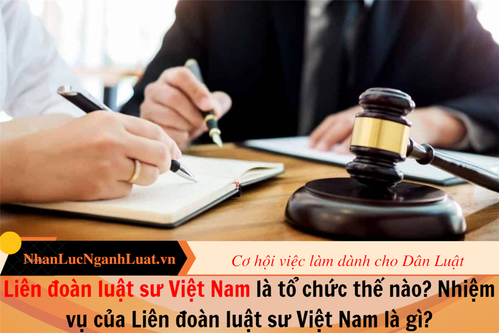 Liên đoàn luật sư Việt Nam là tổ chức thế nào? Nhiệm vụ của Liên đoàn luật sư Việt Nam là gì?