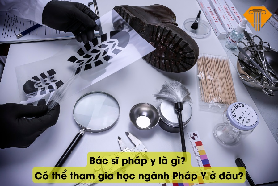 Bác sĩ pháp y là gì? Có thể tham gia học ngành Pháp Y ở đâu?