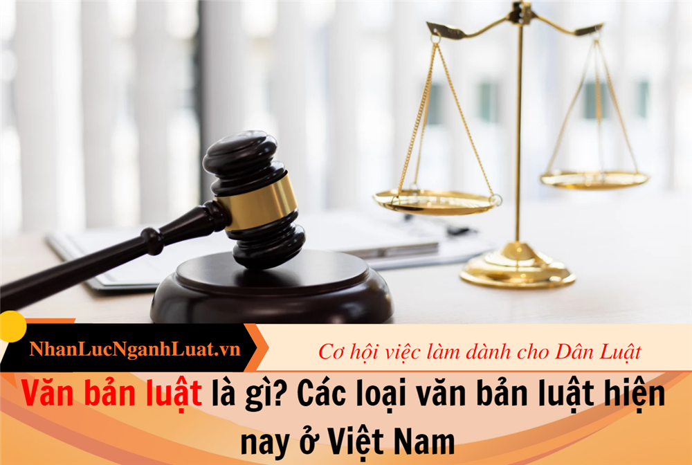 Văn bản luật là gì? Các loại văn bản luật hiện nay ở Việt Nam