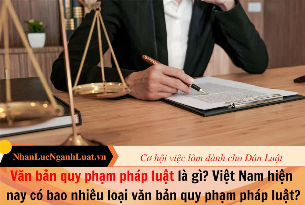Văn bản quy phạm pháp luật là gì? Việt Nam hiện nay có bao nhiêu loại văn bản quy phạm pháp luật?