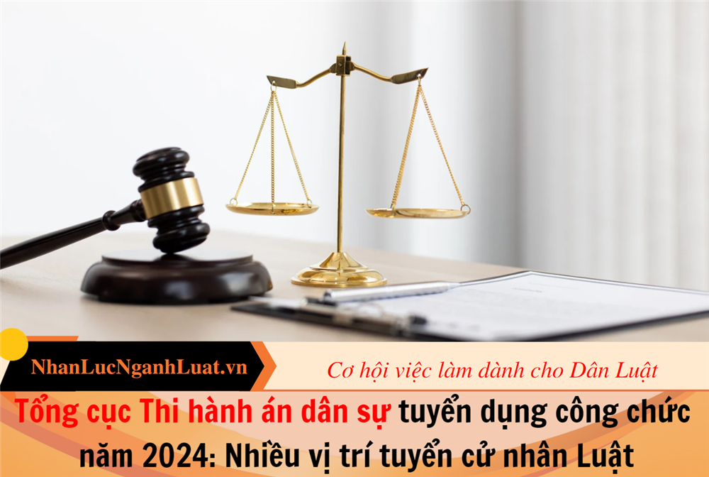 Tổng cục Thi hành án dân sự tuyển dụng công chức năm 2024: Nhiều vị trí tuyển cử nhân Luật