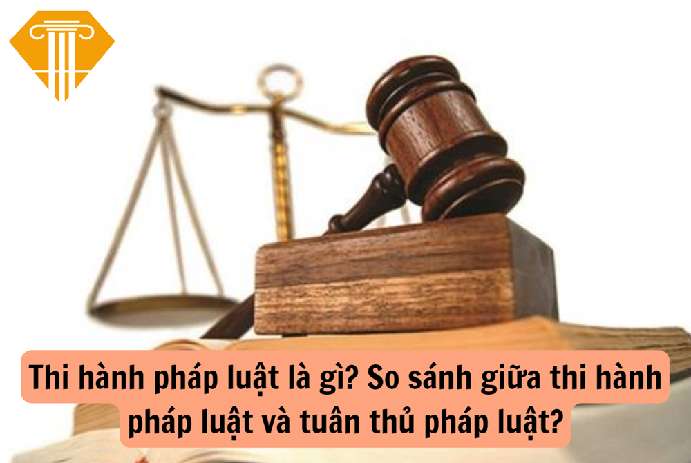 Thi hành pháp luật là gì? So sánh giữa thi hành pháp luật và tuân thủ pháp luật?