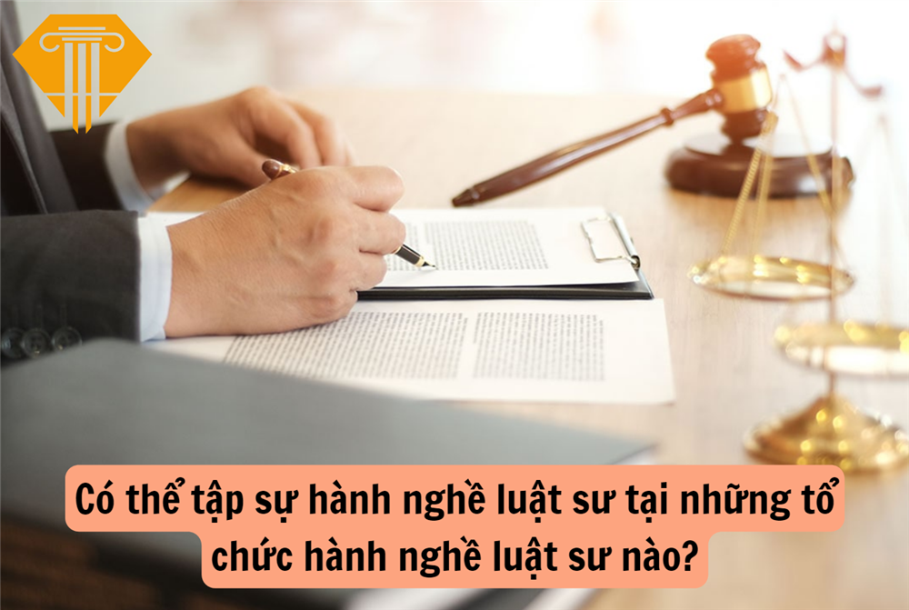Có thể tập sự hành nghề luật sư tại những tổ chức hành nghề luật sư nào?