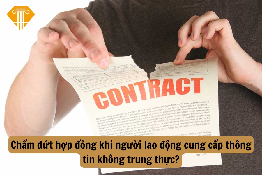 Chấm dứt hợp đồng khi người lao động cung cấp thông tin không trung thực?