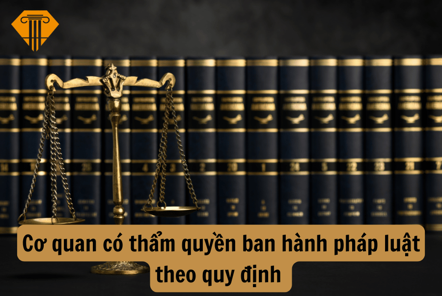 Cơ quan có thẩm quyền ban hành pháp luật theo quy định