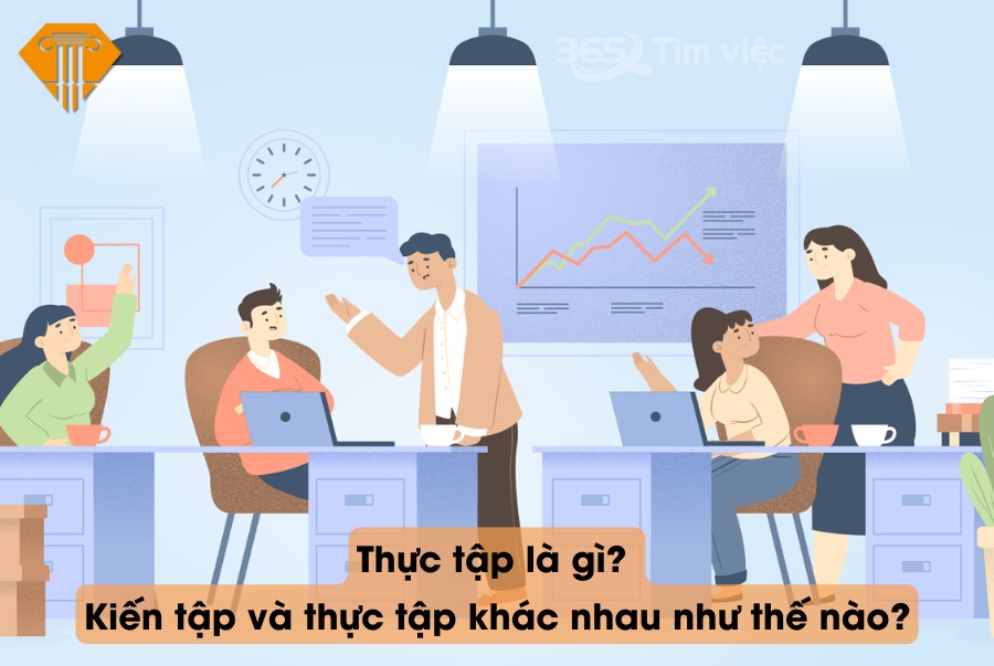 Thực tập là gì? Kiến tập và thực tập khác nhau như thế nào?