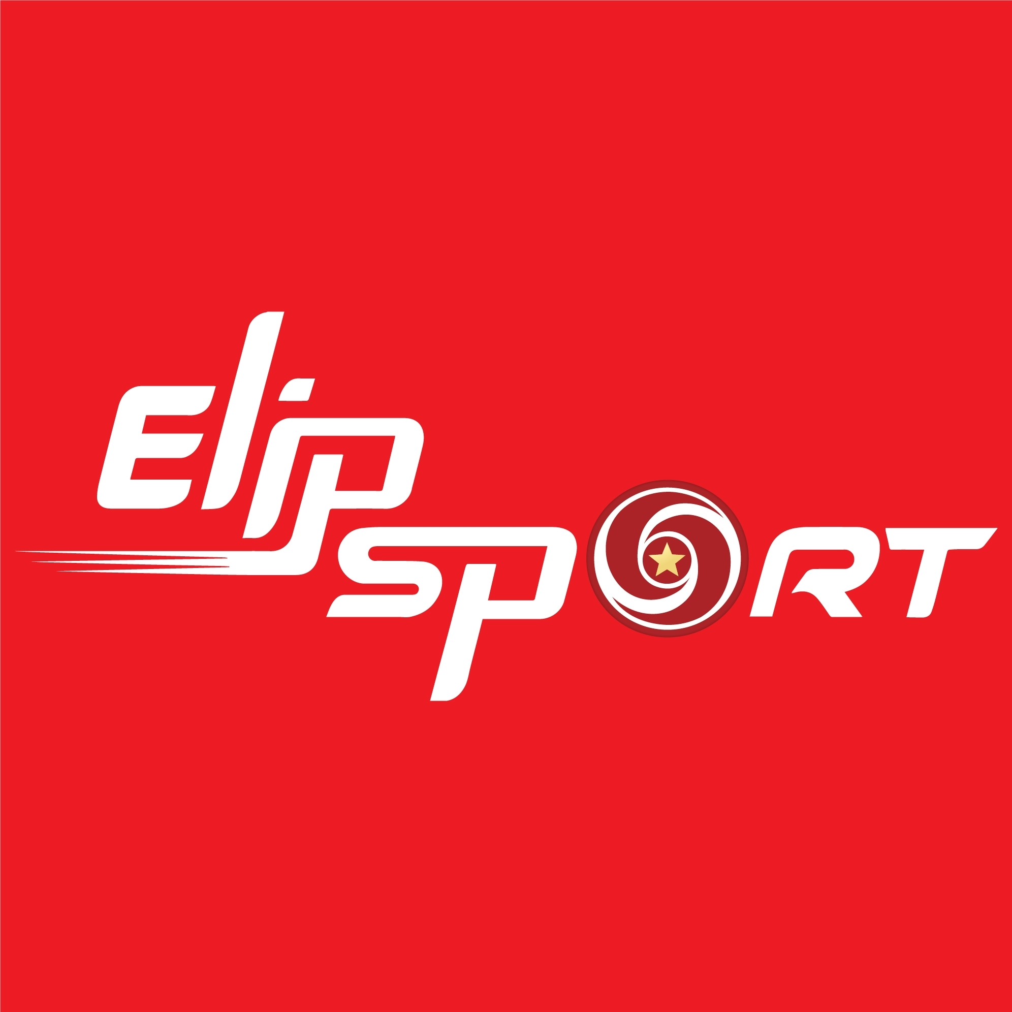 Logo Công ty TNHH Elipsport