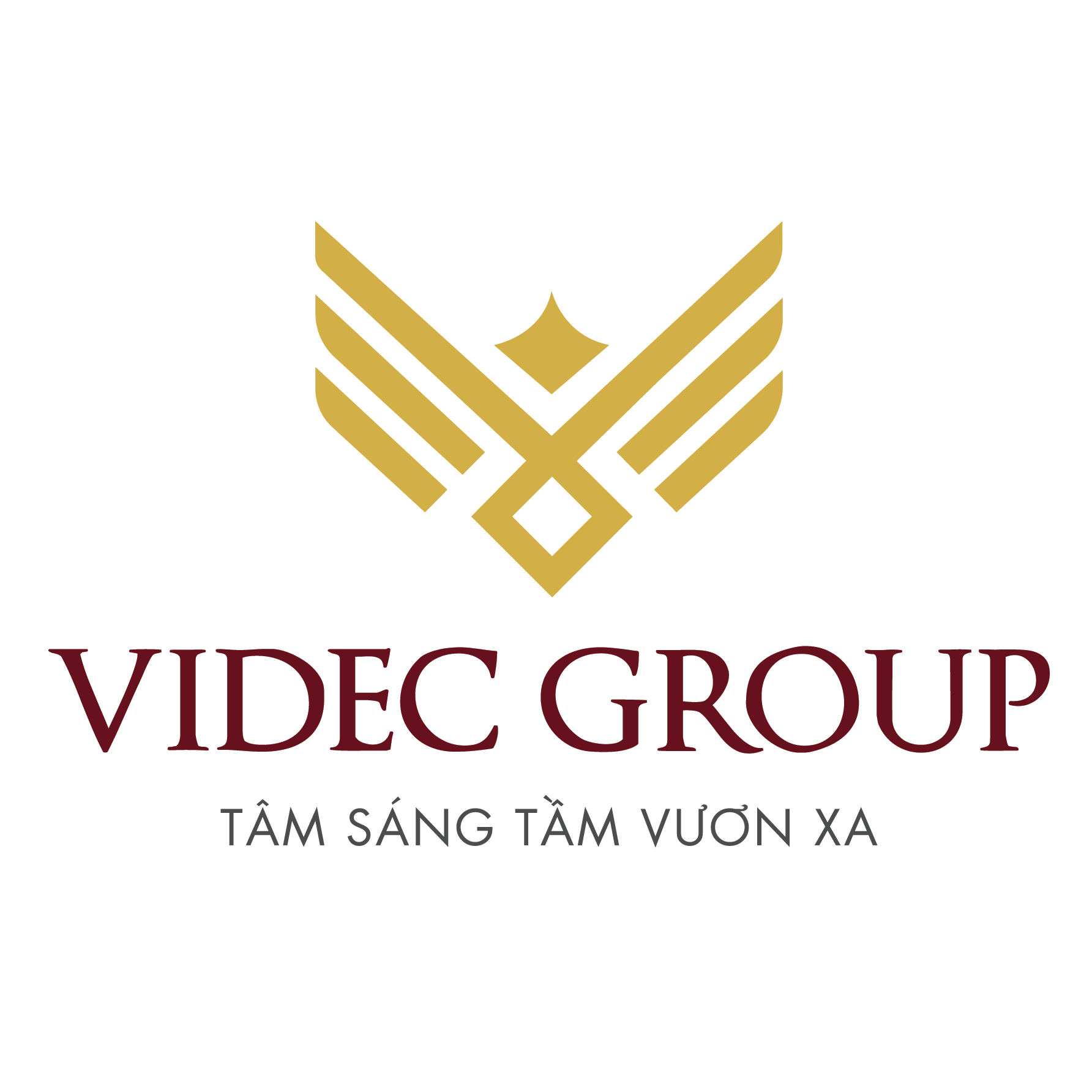 Logo Công ty Cổ phần Tập đoàn Videc