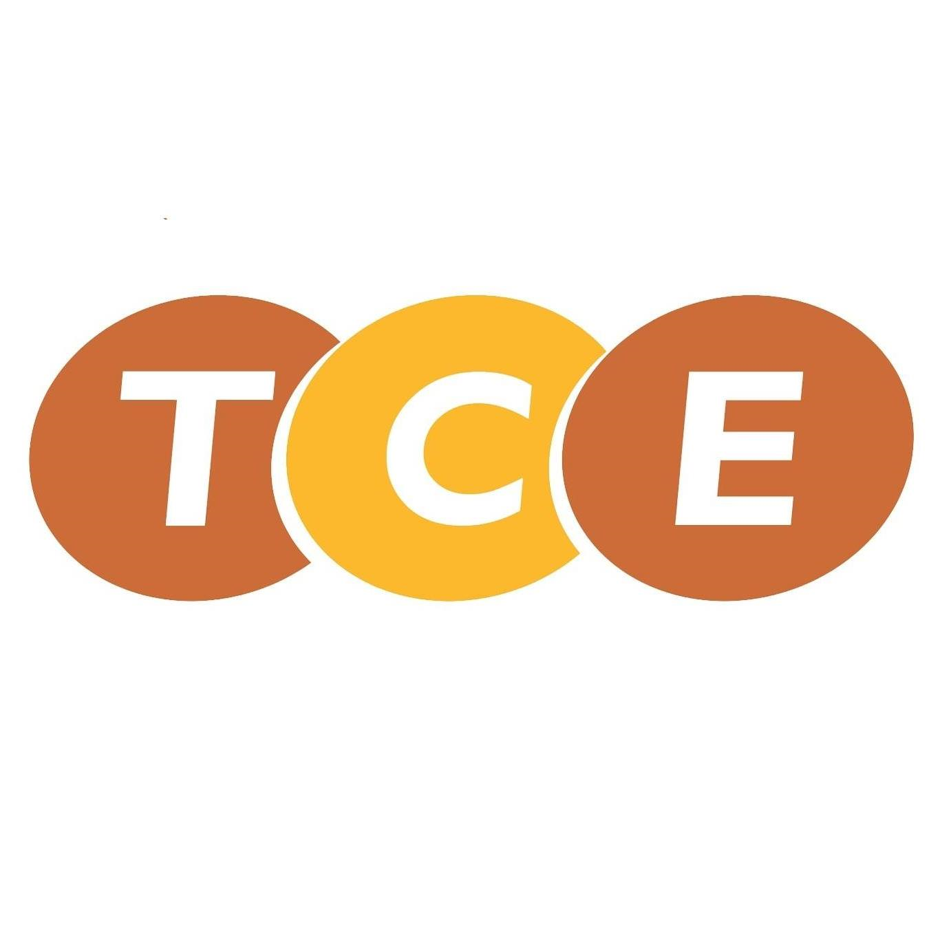 Logo Công ty Cổ phần thiết bị và dịch vụ TCE