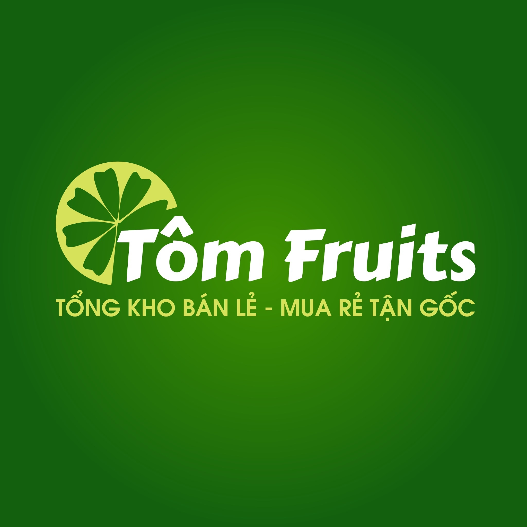 Logo Công ty TNHH Đầu tư Tôm Fruits Việt Nam