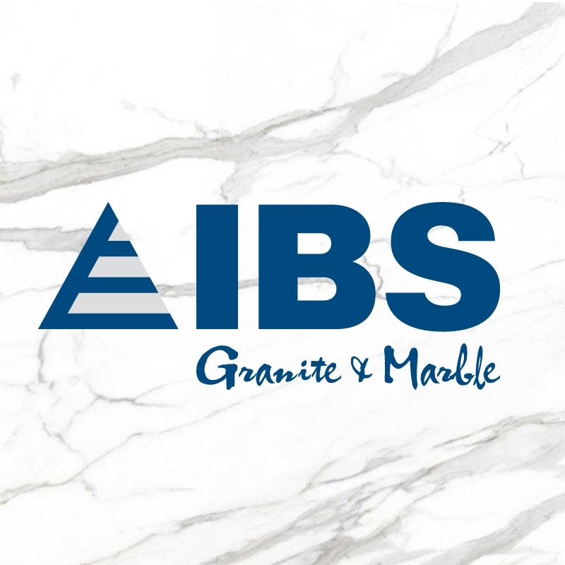 Logo Chi nhánh Công ty Cổ phần IBS