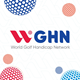 Logo Công ty Cổ phần Tập đoàn WGHN Holding