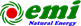 Logo Công ty Cổ phần Đầu tư EMI