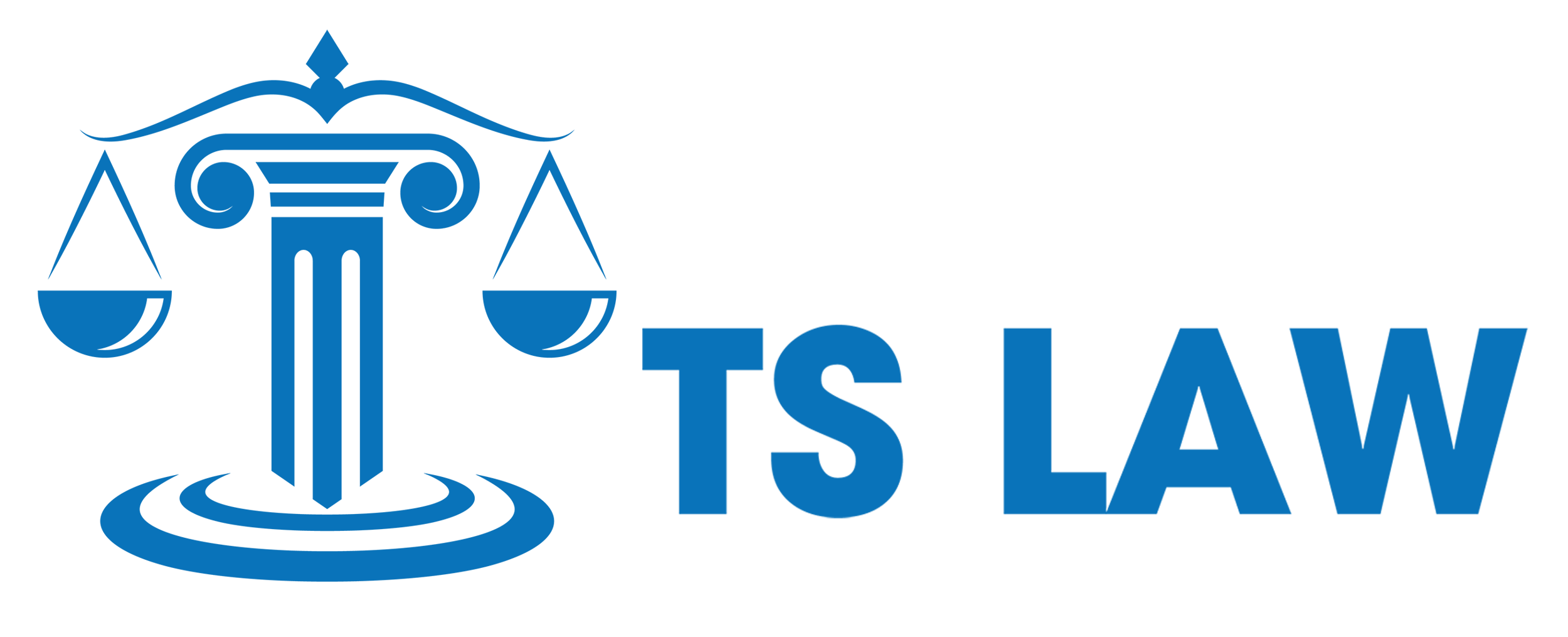 Logo Công ty TNHH Tư vấn TS Law