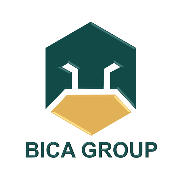 Logo Công ty Cổ phần đầu tư BICA HOLDINGS