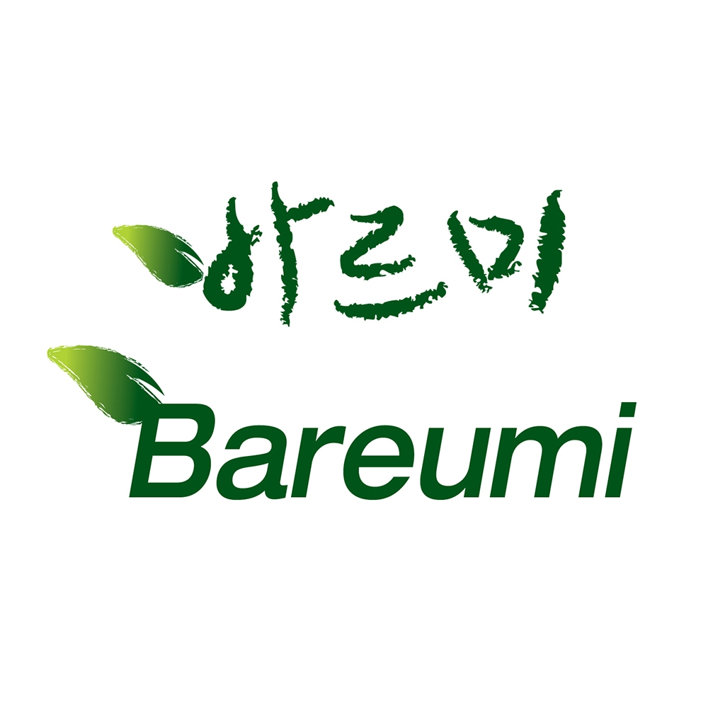 Logo Công ty TNHH Bareumi Vina