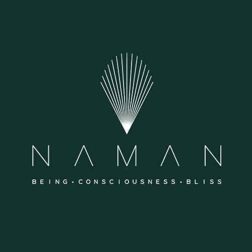 Logo Công ty Cổ phần NAMAN