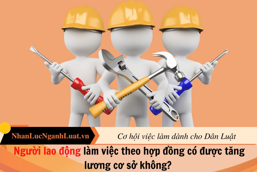 Pháp luật